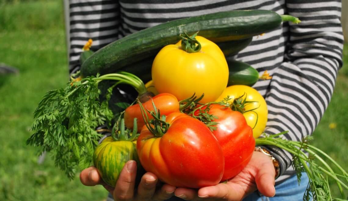 horta-marques-construtora