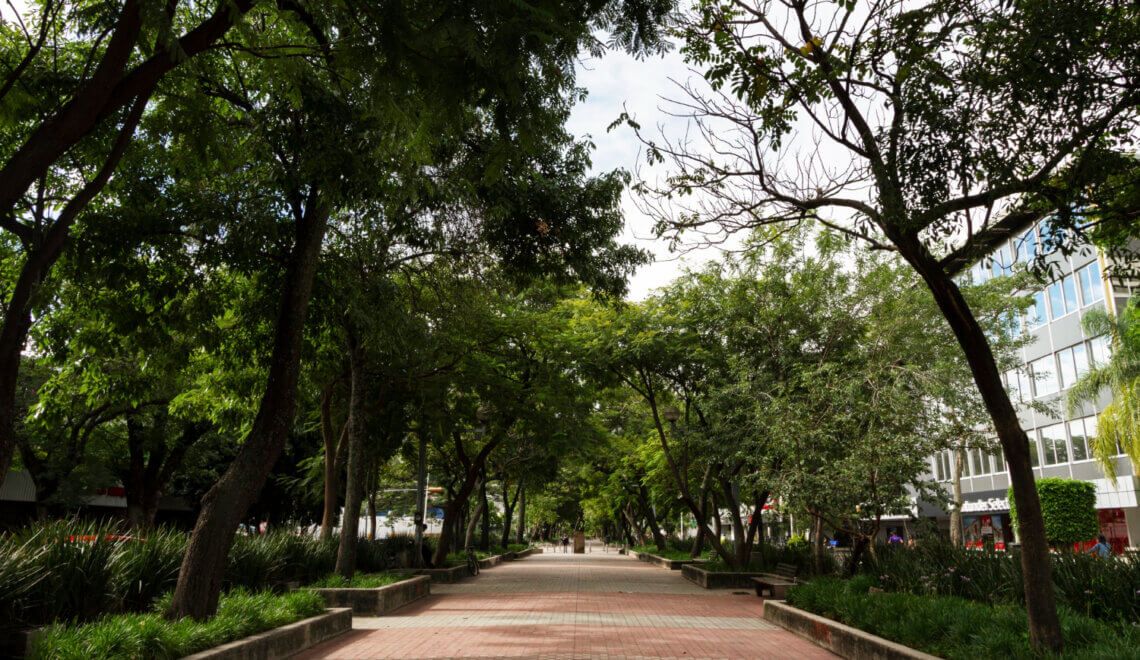 Comprar imóvel no Morumbi em 2026 por que agora é o melhor momento