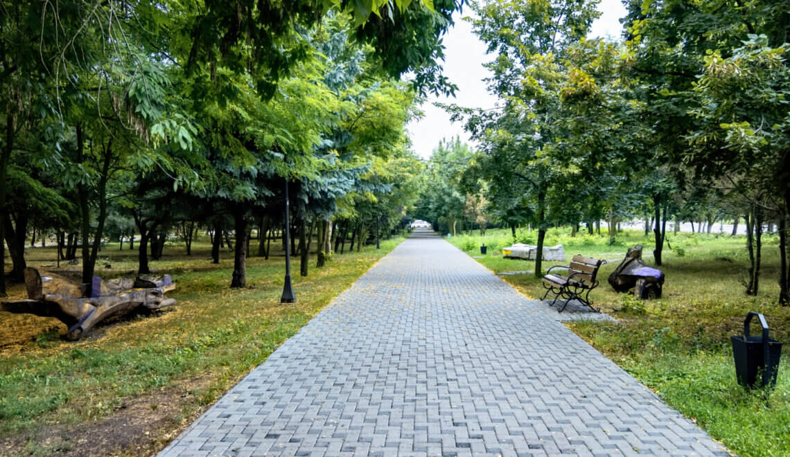 Viver perto de áreas verdes: por que é uma tendência em 2026?