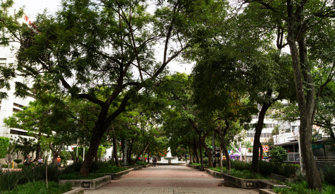 Por que morar no Morumbi continua sendo uma excelente escolha em São Paulo